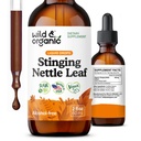 Wild & Organic Stinging Nettle Leaf Extract Drops - Urinary Tract Support - Liquid Sting Nettle Supplement - Urtica Dioica Tincture - 2-månaders Supply - Vegan, Sugar & Alkoholfri - 2 fl oz