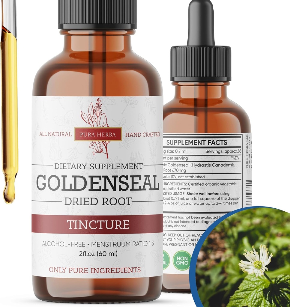 Goldenseal Tincture | Premium Alcohol-Free Herbal Extract från Goldenseal Root | Liquid Botanical Supplement | Traditionell Herbal Formel | Made in USA - 2 uns (60 ml)