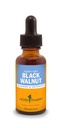 Herb Pharm Black Walnut Liquid Extract för rengöring och avgiftning - 1 Ounce