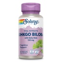 SOLARAY Ginkgo Biloba Extract med Gotu Kola - Ginko Biloba Capsules for Brain Health Support - Vegan, Lab Verified, 60-dagars garanti - 60 portioner, 60 VegCaps (60 VegCaps)