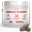 Fadogia Agrestis 1000mg Per serveringstillägg - Potent extrakt för att öka energi, atletisk prestanda och muskelmassa - Kosttillskott, tillverkade i USA (60 kapslar)