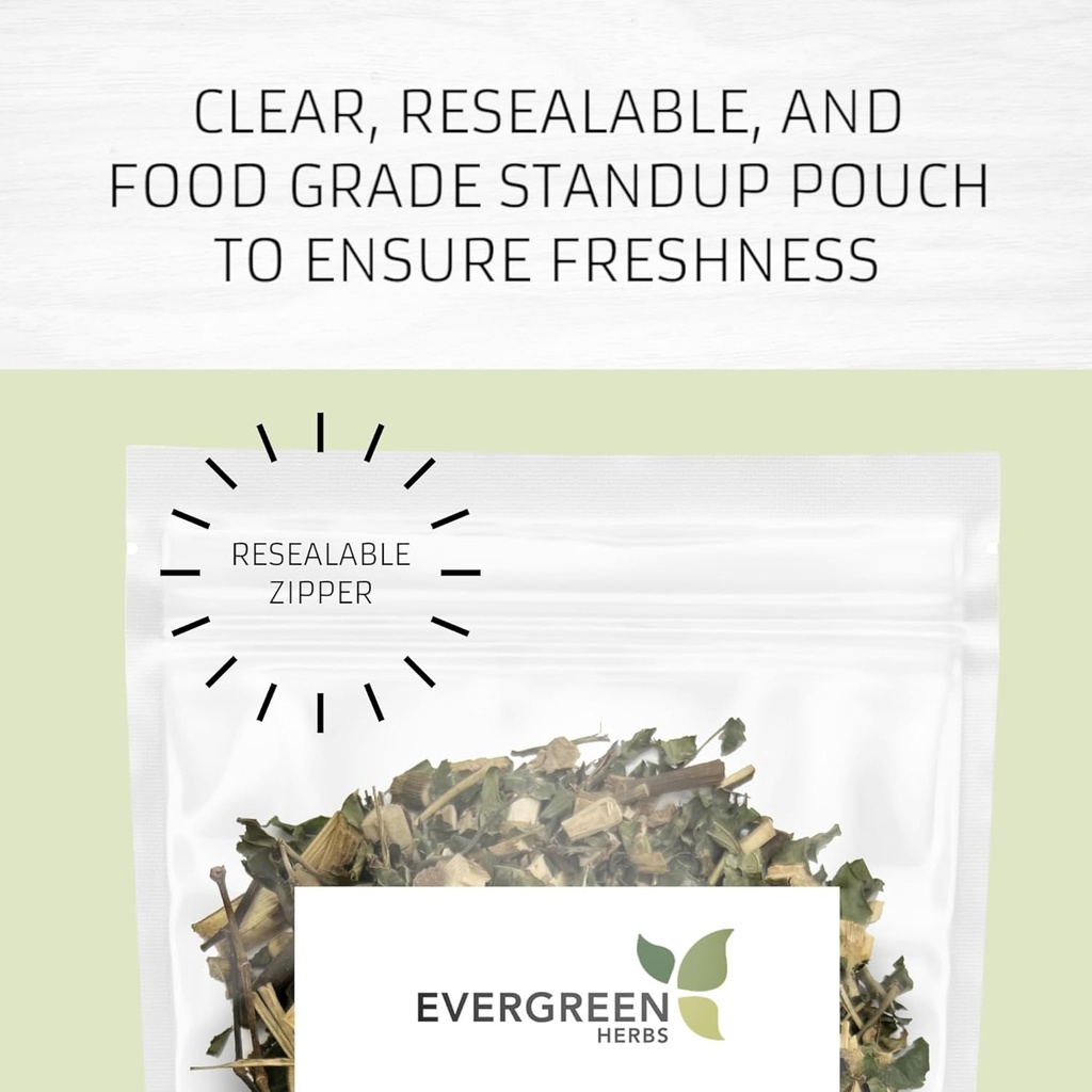 Evergreen Herbs Cuachalate Herb (Amphipetyglum Adstringens) - Lösbar stå upp påse för att säkerställa färskhet! (Tea Bags)
