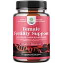 Fertilitetstillägg för kvinnor med prenatala multivitaminer - Kvinnlig fertilitetsstöd med Prenatal Choline Inositol Folate Chasteberry och Q10 Fertilitet Blend för kvinnor att främja snabbare uppfattning