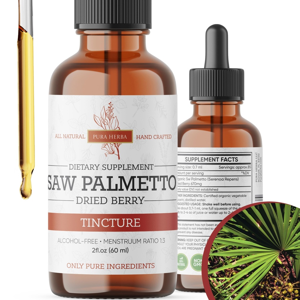 Saw Palmetto Tincture | Premium Alcohol-Free Herbal Extract från Saw Palmetto Berries | Liquid Botanical Supplement | Traditionell Herbal Formel | Made in USA - 2 oz (60 ml)