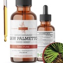 Saw Palmetto Tincture | Premium Alcohol-Free Herbal Extract från Saw Palmetto Berries | Liquid Botanical Supplement | Traditionell Herbal Formel | Made in USA - 2 oz (60 ml)