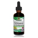 Naturens svar Enchinacea & Goldseal | Stöder ett hälsosamt immunsystem | Superkoncentrerat rent extrakt | Alkoholfri, glutenfri, Vegan & Kosher Certified 2oz