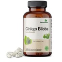 Futurebiotics Ginkgo Biloba Extra Strength stöder hjärnfunktion och minnesstöd, 250 vegetariska kapslar