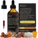 Blend No.1-6 Mushroom Blend Tincture Reishi, Chaga, Lions Mane, Turkiet Tail, Cordyceps, & Shiitake, Natural Support Immunity Booster, Öka energi och kognitiv funktion (240 portioner)