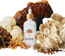 Rainbo - 11:11 Multi Mushroom Tincture - 11-i-1 Dual Extract Mushroom Blend - Omfattande immunsupport, Brain Support, Liquid Lion's Mane & Turkey Tail, Vegan, Non GMO, 3,4 fl oz