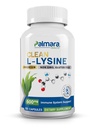 Palmara Health Clean L-Lysine 600mg, 120 kapslar | Vegan, icke-GMO och Gluten Free