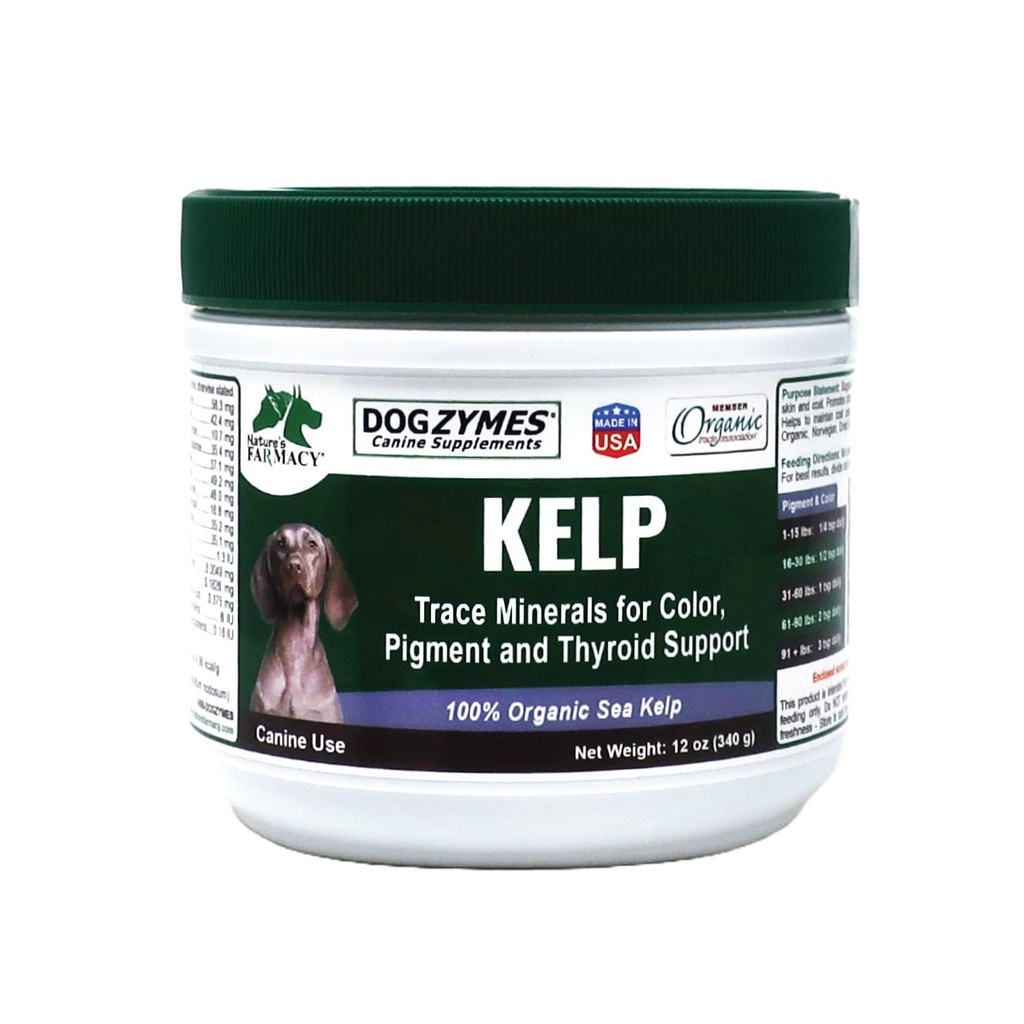 Dogzymes Organic Norwegian Kelp för husdjur, en värdefull näringskälla rik på jod för att stödja körtelfunktion, särskilt sköldkörtel (12 ounce)