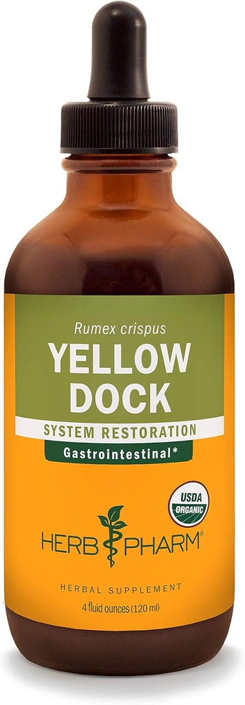 Herb Pharm Yellow Dock Liquid Extract för Digestive System Support - 4 Ounce
