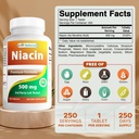 Bästa natur Niacin 500mg 250 tabletter med spolning - även kallad vitamin B3 (250 greve av 2)