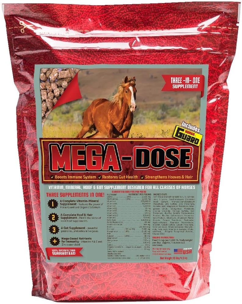Mega Dose 10 lb, Equine Vitamin Mineral med en full servering av hästvakt Supplement & Hoof Guard