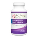 Wellness Resources Daily Prenatal Multi Vitamin - Methylated Folate Zinc Iron Bisglycinate Choline & Key Nutrients - Natural Prenatal Postpartum Vitamins för kvinnor - 120 Caps