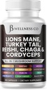 Lions Mane Supplement Cognitive Support, Immune Health med Turkiet Tail 20in1 Mushroom Reishi Cordyceps Chaga med Marshmallow Root 60 Count