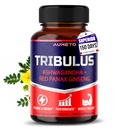 Tribulus Terrestris 98% Saponiner - Förbättrad 12-i-1 Formel med Yohimbine, Red Panax Ginseng, Ashwagandha för Boosting Energy, Stamina & Endurance * - Tillverkad i USA