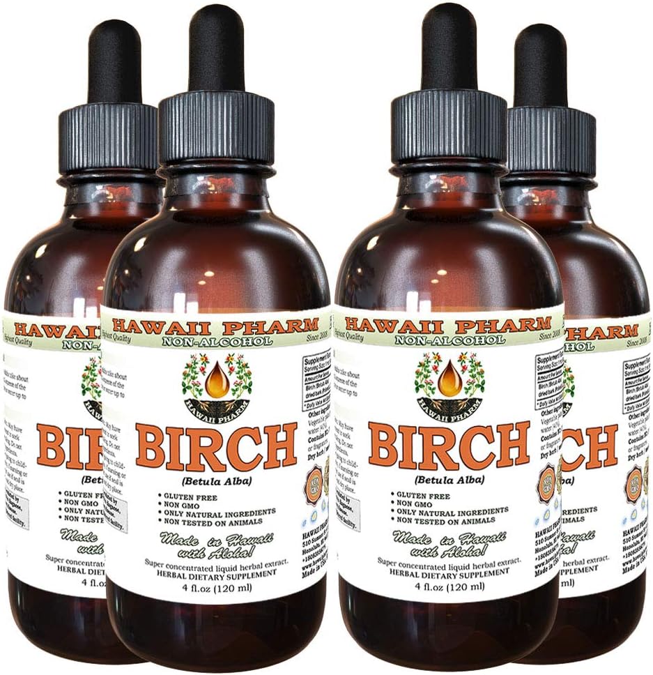 Björk Alkoholfri flytande extrakt, Björk (Betula Alba) Torkad Bark Glycerite Hawaii Pharm Natural Herbal Supplement 4x4 oz