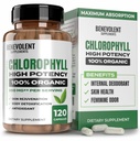 Benevolent Chlorophyll Capsules 350mg - 100% Natural + Ultra Chlorophyll 20x Potenskoncentration för energiökning, immunstöd, inre deodorant, hudhälsa, icke-GMO, 120 kapslar