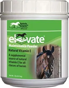 Kentucky Performance Prod 044097 Elevate Maintenance Powder Supplement för hästar, 2 lb