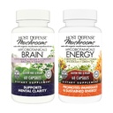 Värd försvar Bundle med MycoBotanicals Brain * Capsules, 60 Count & MycoBotanicals Energy * Capsules, 60 Count - Support Memory & Focus - Support Sustained Energy