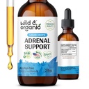 Wild & Organic Adrenal Support Tincture för positiv Outlook - Adrenal Complex med Ashwagandha, Rhodiola Rosea Root - 1-månaders leverans - Vegan, No Sugar & Alkohol - 2 fl oz