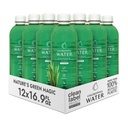 Chlorophyll Water - Liquid Chlorophyll 12-Pack (16.9oz) | Vitamin A, B12, C, D | Detox Cleanse, Alkaline Water, Energy Boost | Vitamin Water | Plant-Based | Clean Label Project | Hydration Support