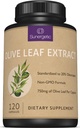 Premium Olive Leaf Extract Capsules - Standardiserad till 20% Oleuropein - Super Strength Olive Leaf Exact Supplement stöder immunsystem och kardiovaskulär hälsa - 750mg per kapsel - 120 kapslar