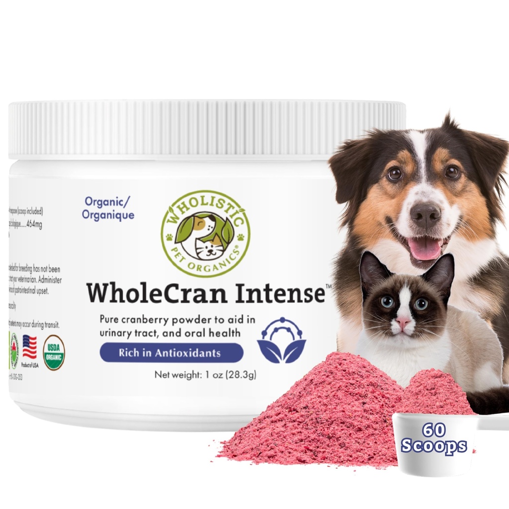 Wholistic Pet Organics WholeCran Intense: Organic Cranberry Powder för hundar Urinary Tract Support Kidney Support för hundar UTI Behandling Vitamin C och Antioxidanter Dog Incontinence Product