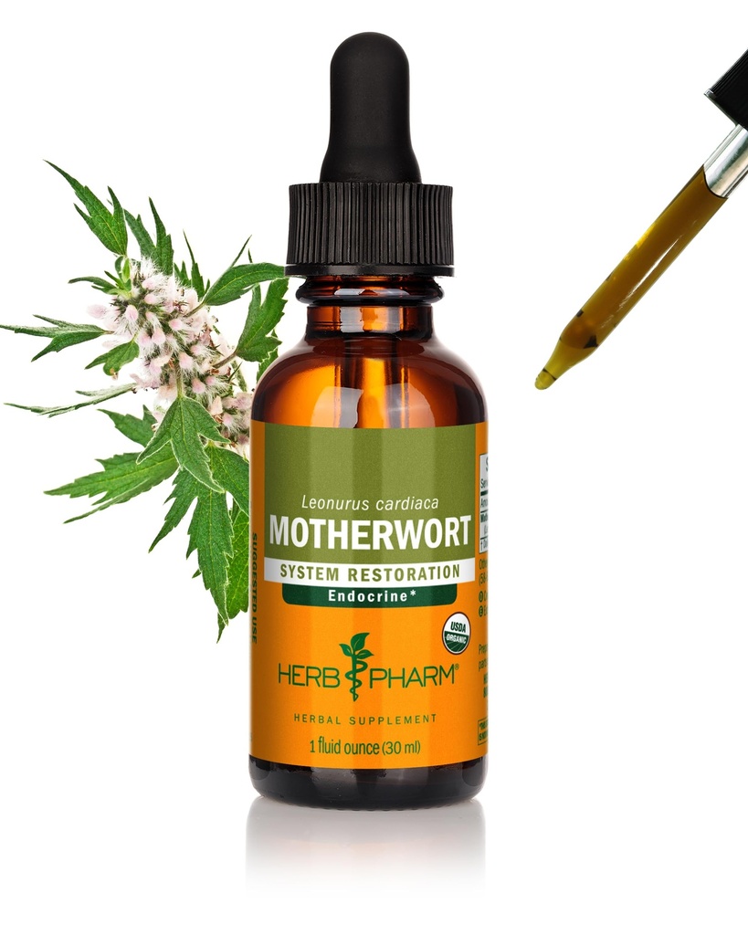 Herb Pharm Certified Organic Motherwort Liquid Extract för endokrin System Support - 1 Ounce
