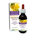 Naturalma Great Mullein eller Common Mullein (Verbascum thapsus) Flower och Leaf Alcohol-Free Tincture - 4 fl oz Liquid Extract i droppar - Herbal Supplement - Vegan