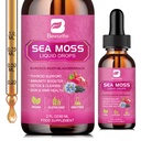 Sea Moss Liquid Drops - Organic Black Seed Oil Irish Sea Moss Gel med Burdock Root, Bladderwrack, Elderberry, Vitamin C, D3, 6X Stronger Seamoss Gel för Digestive, Hair Health - Vegan