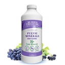 Buried Treasure Fulvic Minerals Grape smaksatt - kolloida mineraler från Humic Fulvic Acid, Electrolytes från spårmineraler för återhämtning och Wellness Support. Lägg till vatten – 32 portioner