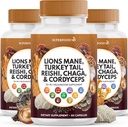 Lions Mane Mushroom Supplement med Turkiet Tail Reishi Cordyceps Chaga med Marshmallow Root - 180 greve