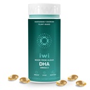 Iwi DHA Omega-3, 60 Softgels (30 portioner), Plant-Based Algae Omega 3, Brain, Eyes & Nervous System Support Dietary Supplement, Krill & Fish Oil Alternative, No Fishy Aftertaste
