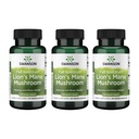 Swanson Lion's Mane Mushroom - Traditionell Brain Booster Supplement Made från Hericium Erinaceus (60 kapslar, 500 mg vardera) 3 Pack