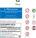 Livsmedel för Gut Lactobacillus Plantarum Probiotic Powder 400 miljarder cfu | Made in USA | No Additives | Direkt från tillverkare | Ingen tredjepartsförvaring | Immune Support | 30 Grams (1,05 Oz)
