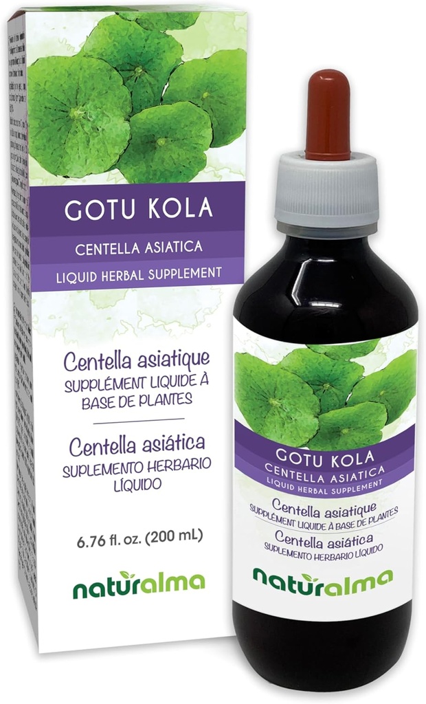 Naturalma Gotu kola (Centella asiatica) ört Alkoholfri tinktur - 6,76 fl oz flytande extrakt i droppar - Herbal Supplement - Vegan