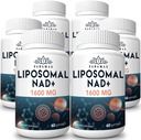 1600 mg Liposomal NAD Supplement, 98% Pure NAD + Supplement, Superior Absorption, Alternativ till Nicotinamide Riboside eller NADH för att öka NAD + för åldrande försvar, energi, livslängd, 360 Softgels