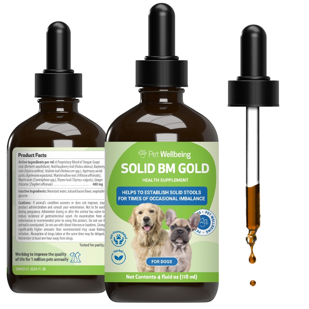 Pet Wellbeing BM Tone-Up Gold for Dogs & Cats - Stöder Hälsosam Digestive Funktion, Solid Stools, Normal Bowel Movements, Bayberry - Veterinär-Formulerad Herbal Supplement 4 uns (118 ml)