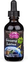 Dragon Herbs Ginseng Sublime Drops | All Natural Extract Supplement för att stödja energi, stress, fokus, hud, uthållighet, lungor, immun hälsa | Amerikanska, röda och vita Ginseng | 2 fl. oz