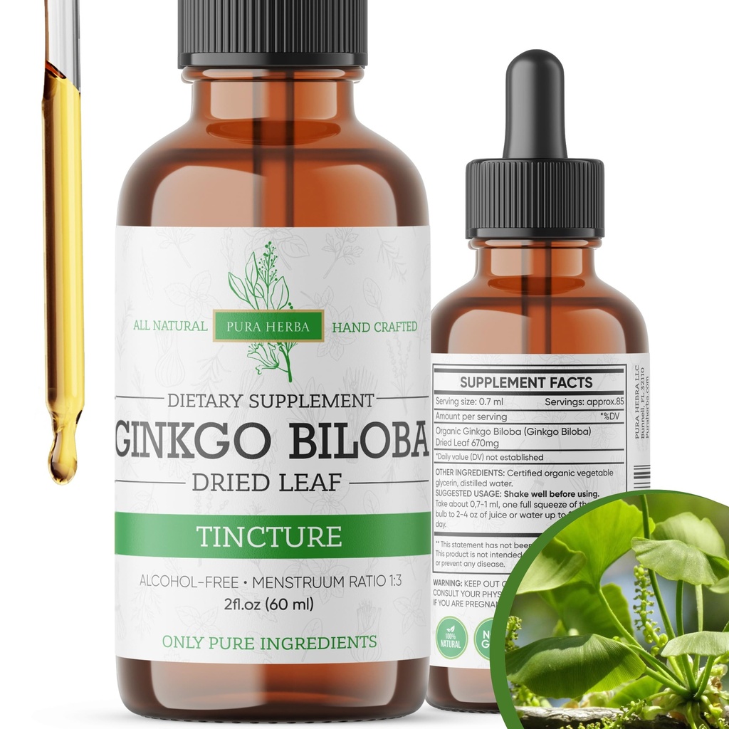 Ginkgo Biloba Extract Liquid 2 Fl Oz, tillägg för hjärnfunktion och minnesstöd, alkoholfri, Vegan - 2 Fl Oz
