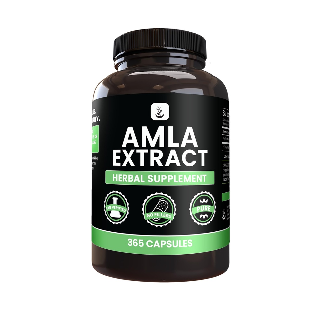PURE ORIGINAL INGREDIENTS Amla Extract (365 kapslar) No Magnesium eller Rice Fillers, Always Pure, Lab Verified