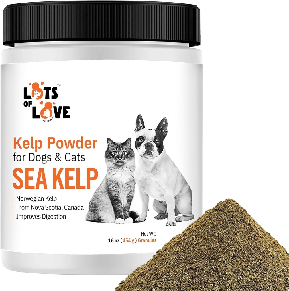 Kelp pulver för hund & katt - Organic Sea Kelp Supplement Granules Powder (16 Oz, 1 pund)