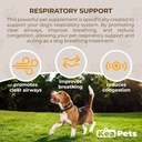 Doggie Condiments Pet Respiratory Support Ett Naturligt Hundtillskott för Optimal Hund Andning, Tydliga Sinuser, hosta, Sneezing och Överbelastning Relief för Hundar