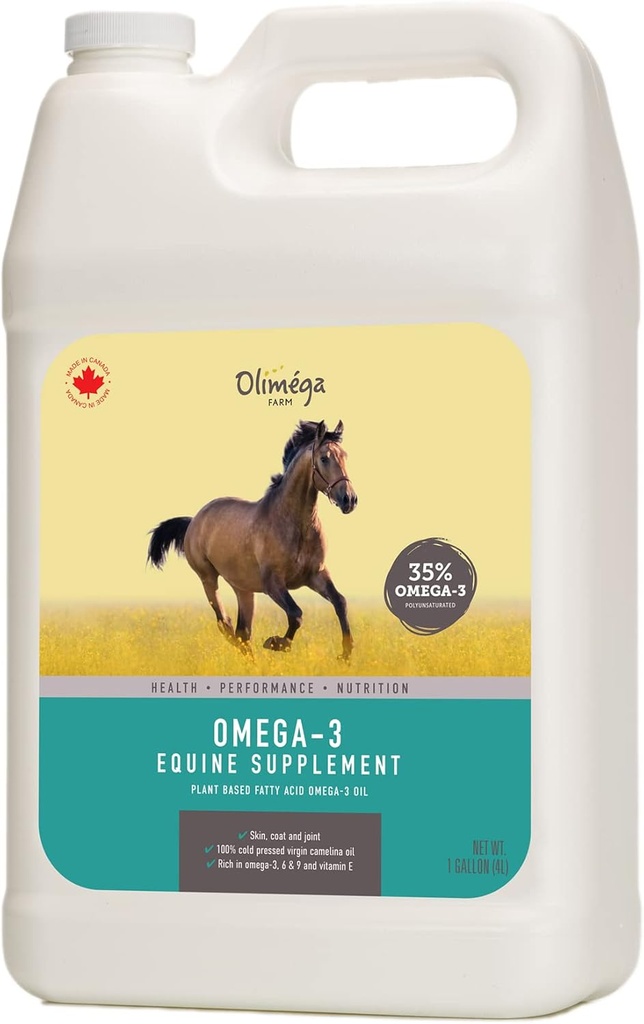 Camelina Oil for Horses, 1 Gallon av Olimega Farm | Högt i Omega-3 & Vitamin E | Stöd för hälsosamma gemensamma, Coat & Skin | Pure & Cold Pressed | Gemensamt komplement | Made in Canada | Non-GMO