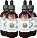 Cinnamon alkoholfri flytande extrakt, kanel (Cinnamomum Verum) Torkade Bark Glycerite Hawaii Pharm Natural Herbal Supplement 4x4 oz