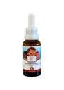 Punkin Butt Baby Ear Oil | Organisk vitlök, Mullein, Calendula Ear Drops Säker för spädbarn (1 oz)