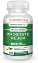 Certifierad organisk Vadik Herbs Prostate Rejuv Herbal Dietary Supplement | Främjar hälsosam prostata hälsa och minskar relaterad symtom, stöder normal prostata funktion (1 Pack)