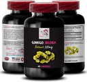 Ginkgo biloba Supplement - Ginkgo BILOBA Extract - Naturlig antioxidant Extract, Herbal antioxidant Support, Ginkgo biloba Fördelar, Botaniska extrakt Supplement, Plant-Based antioxidant 1 Bot 60 Caps